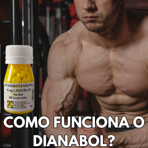 Como funciona o Dianabol?